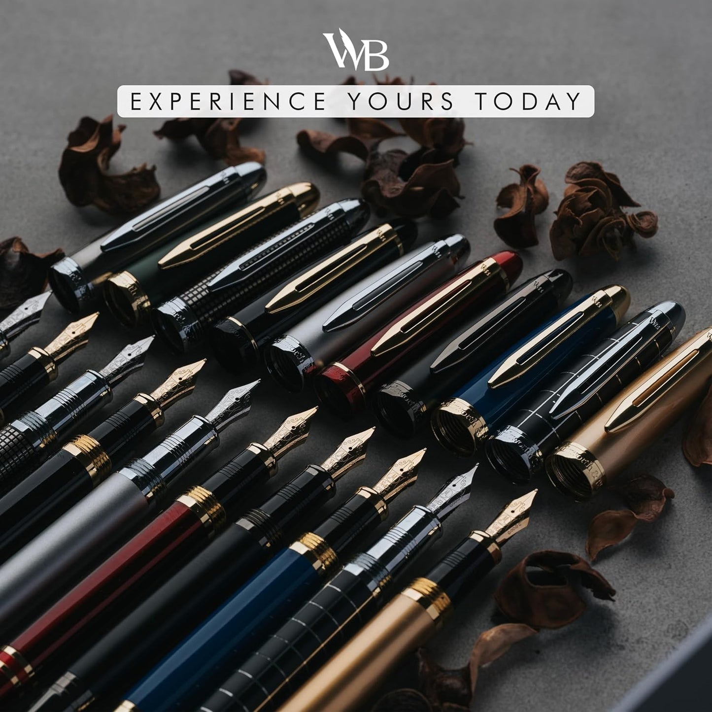 Wordsworth & Black Majesti Fountain Pen-(Blue), Luxury Case, 24K Gold Finish; 18K Gilded Medium Nib- Ink Cartridges, Refillable Ink Converter-Calligraphy Pen-Best Business Gift Set for Men & Women