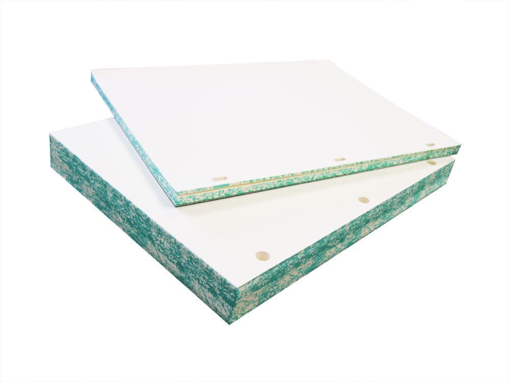Archival Paper 32lb Watermarked Minute Paper - 11" X 8-1/2" - 100% Cotton, Acid-Free, Blank Sheets for Minute Books or Ledgers- (200 Rectangle Holes)