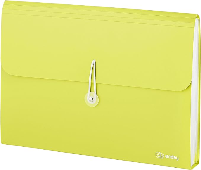 Accordion File Organizer 13 Pocket Expanding File Folder by Enday