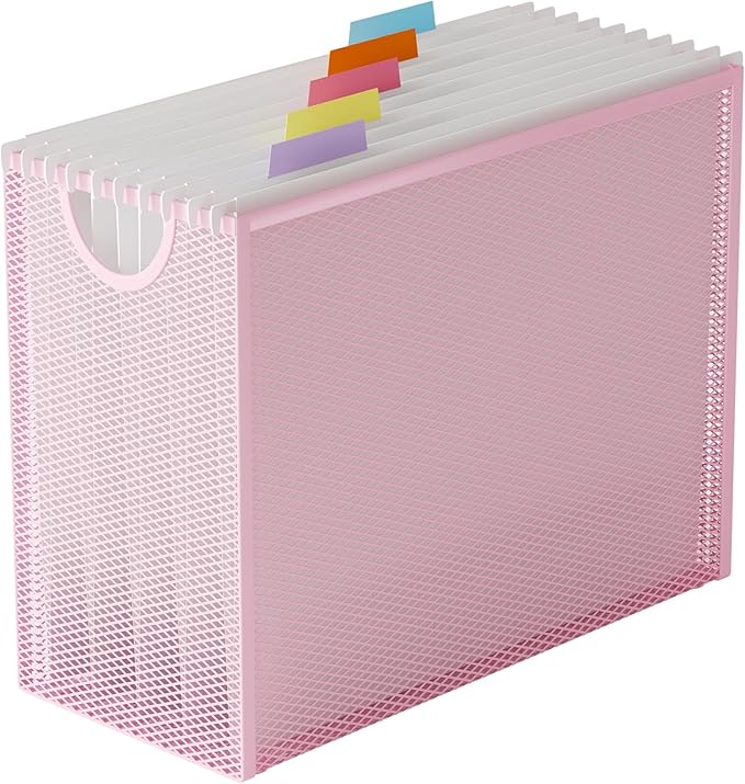 Hanging File Organizer, Letter-Size File Holder Filing Box by GoldOrcle