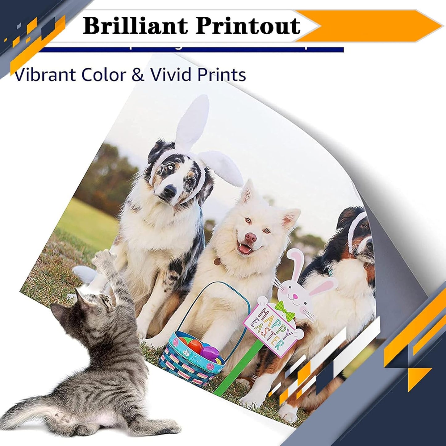 PG-260XL CL-261XL PG260 PG-260 CL261 CL-261 Ink Cartridges, Compatible for Canon TS6420a TS6420 TR7020a TR7020 TS5320 All in One Printers【High Print Volume with Chip Color*1
