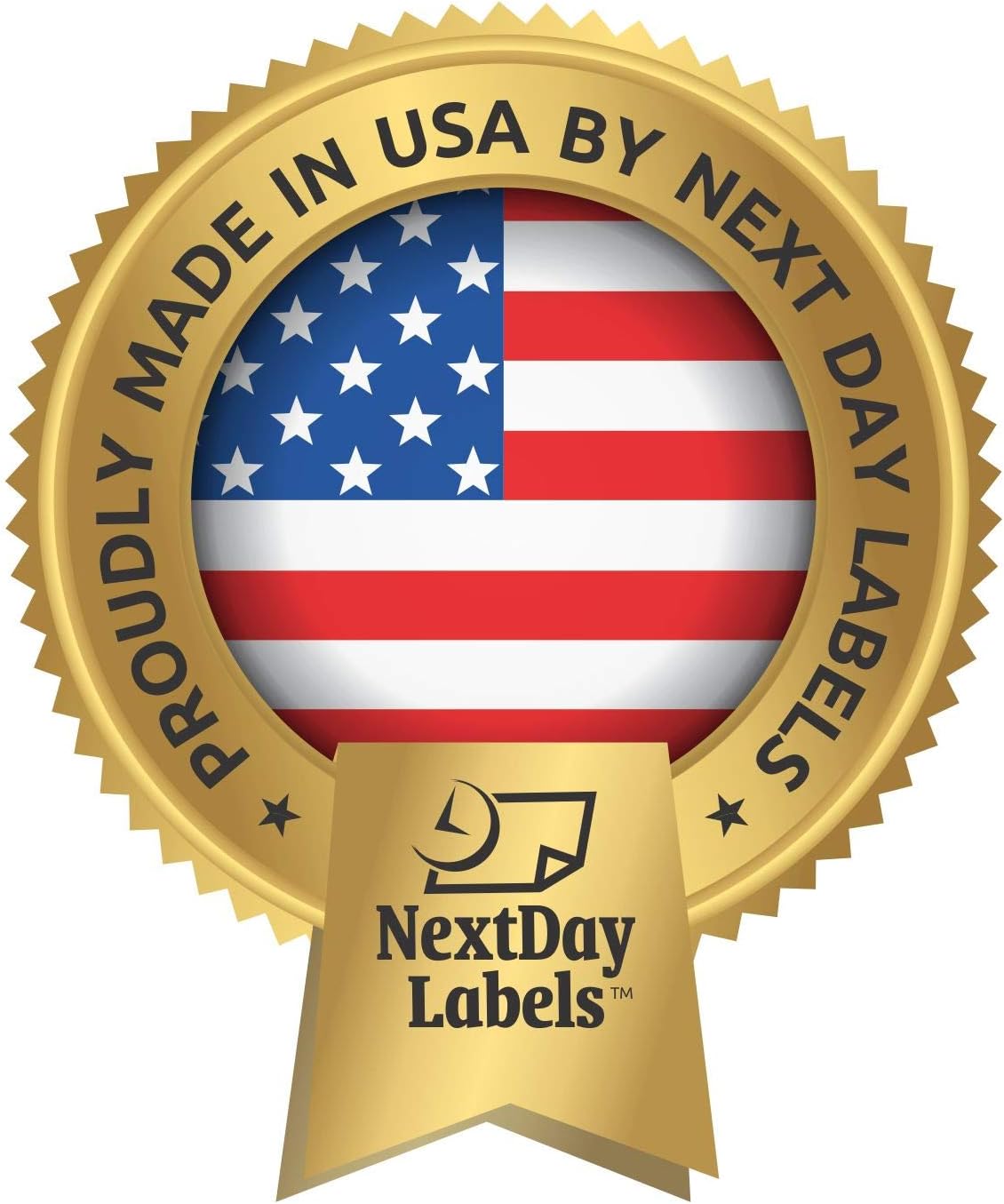 NextDayLabels - Blank Hologram Laser Checks, High Security, 3 Color: Blue, Red, Green (250 Checks)
