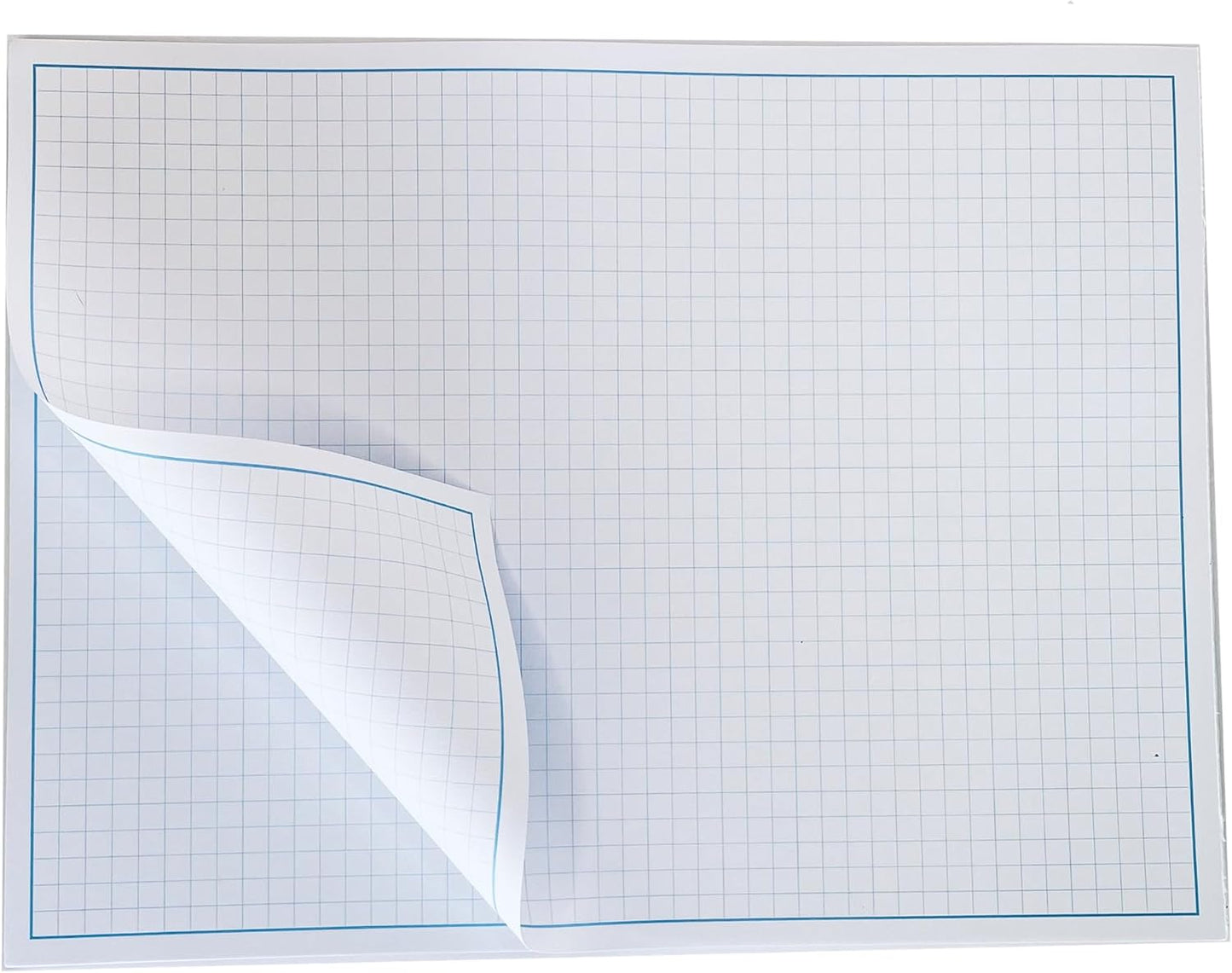 Blueprint and Graph Paper Pad - 50 Sheets Per Pad - 70lb Text - For Drawing, Designing, and More - Perfect Tool for Young Artists, Budding Designers, and Classroom Use (5, 12x18)