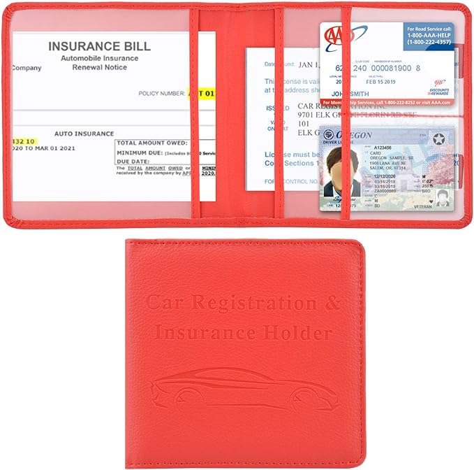 Cacturism Car Registration and Insurance Holder, Vehicle Glove Box Car by CACTURISM