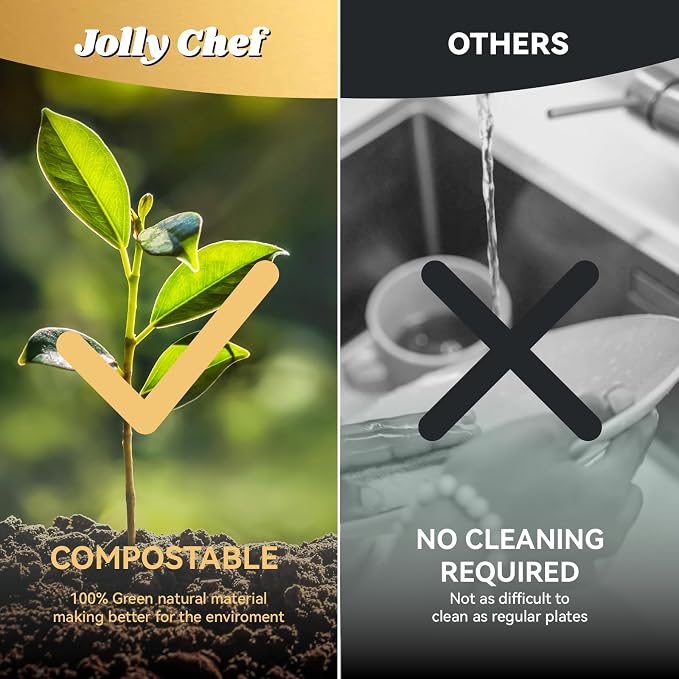 JOLLY CHEF Compostable  Compartment Paper Plates 10*8.25*1  Small - Image 9
