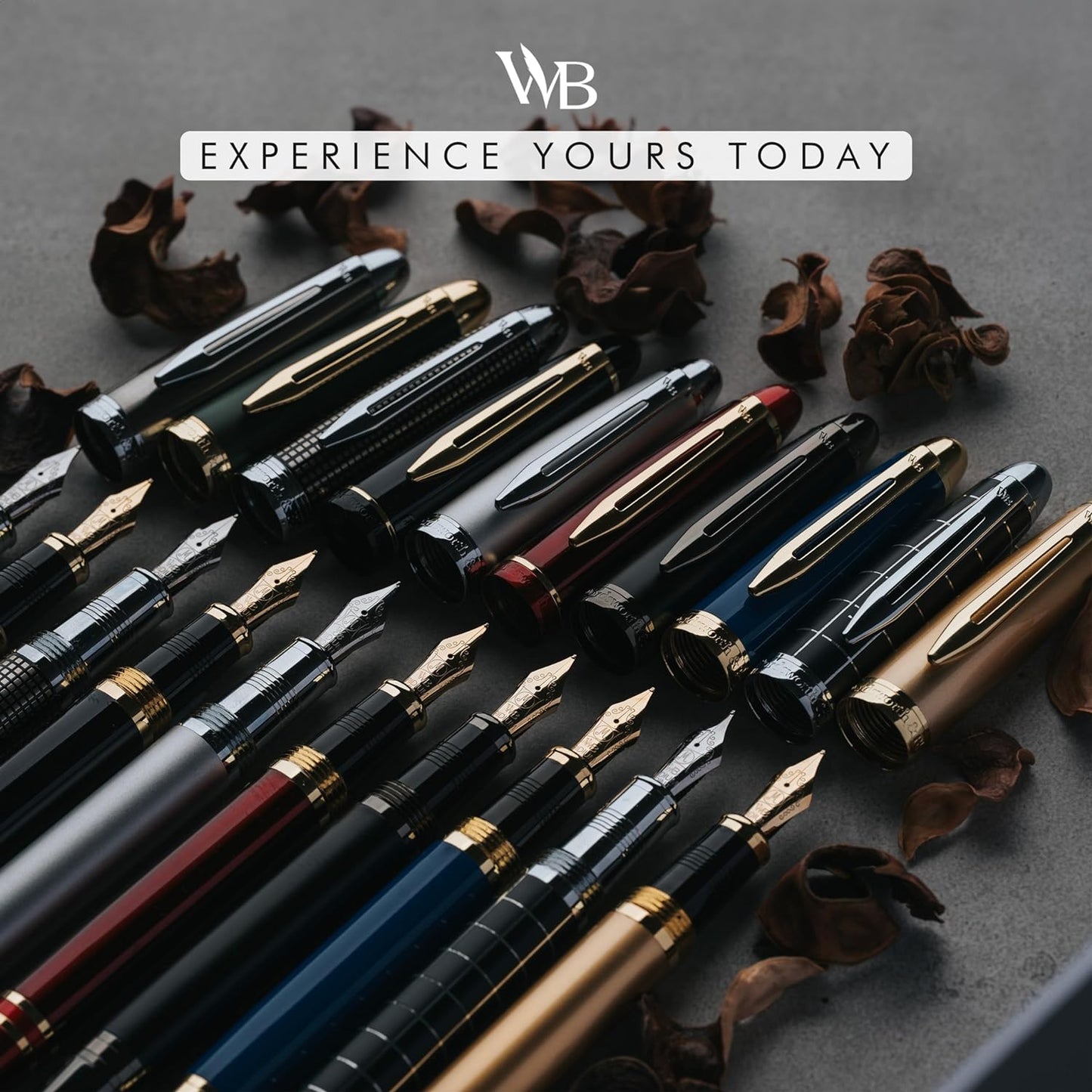 Wordsworth & Black Majesti Fountain Pen-(Silver), Luxury Case, 24K Gold Finish; 18K Gilded Medium Nib- Ink Cartridges, Refillable Ink Converter-Calligraphy Pen-Best Business Gift Set for Men & Women