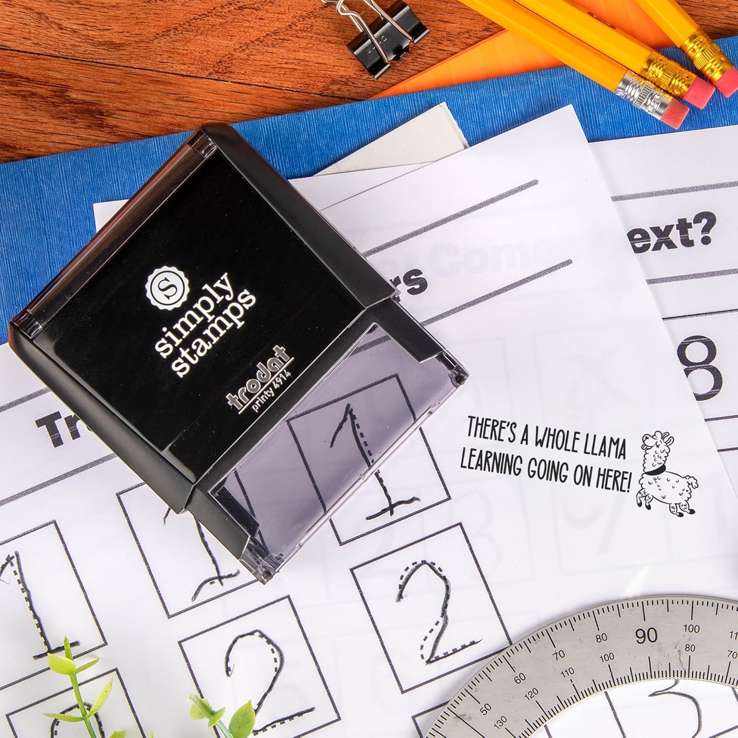 Whole Llama Learning | Custom Self-Inking Stamps | Large | 49 Designs | Fun Phrases | Grading Made Easy | Classroom & Library Book Stamps