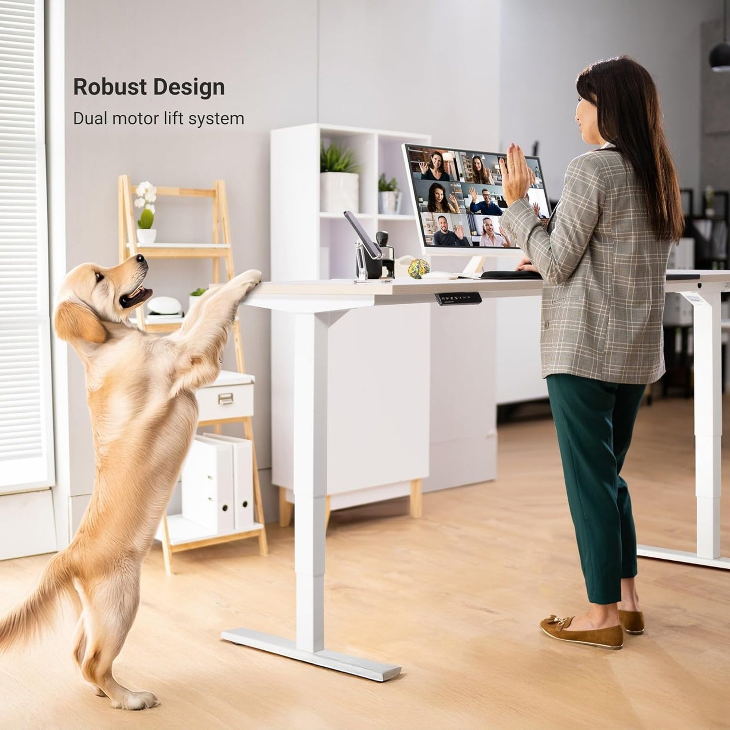 Progressive Desk Stand Up Height Adjustable Electric Standing Desk - 48" x 30" with Dual Motor, 3 Stages Sit Stand Table - Bright Beech, Gray Frame